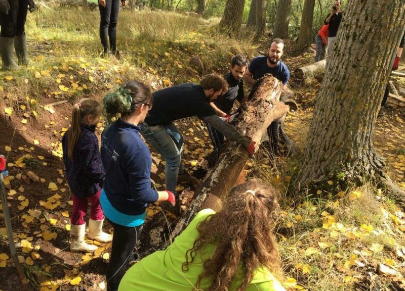 Group of men, women and a young girl moving a fallen log out of an acequia ditch.